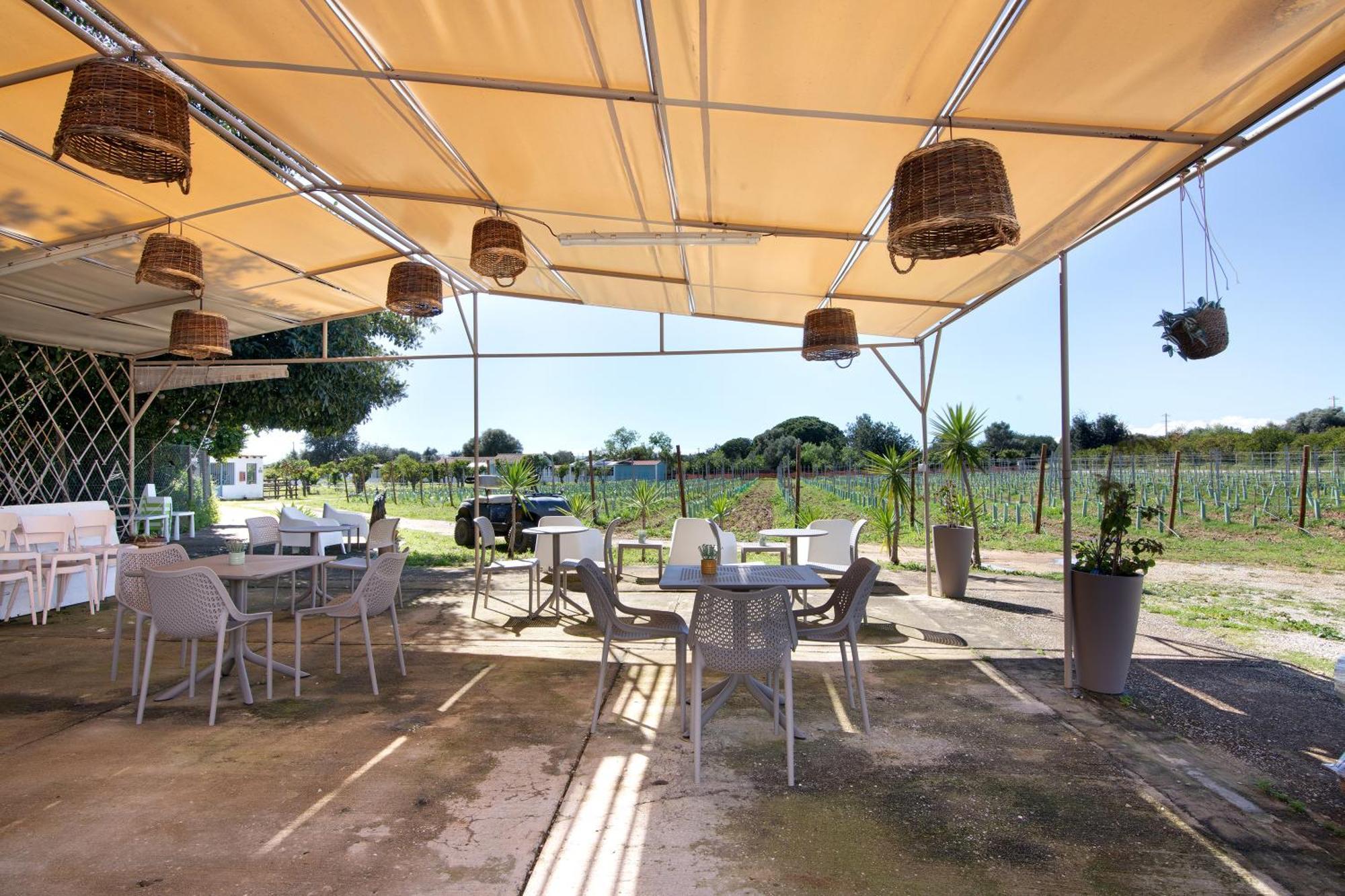 Casa Lavadeira - Vinhas De Nexe Villa Faro Luaran gambar